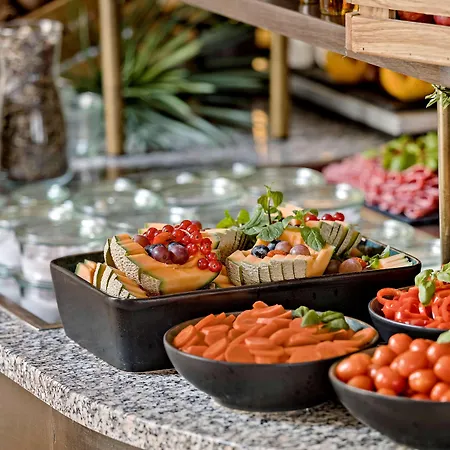 Western Hebron Kopenhaga