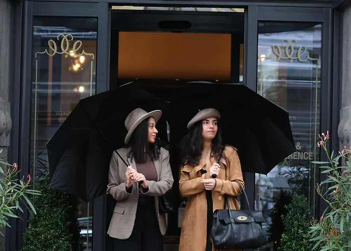 Western Hebron קופנהגן